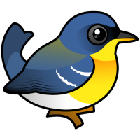 Tropical Parula