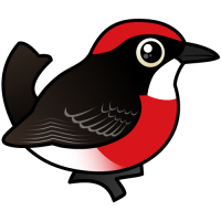 Crimson Chat