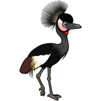 Black Crowned-Crane