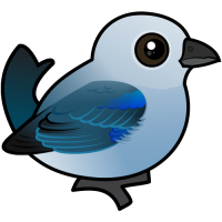 Blue-gray Tanager