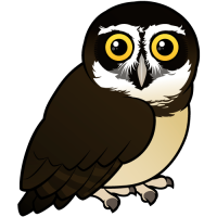 Spectacled Owl