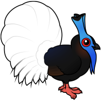 Bulwer's Pheasant