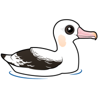 Wandering Albatross