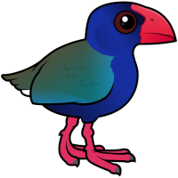 South Island Takahe