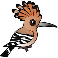 Hoopoe