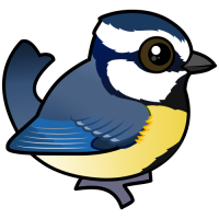 African Blue Tit