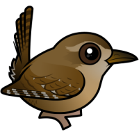 Eurasian Wren