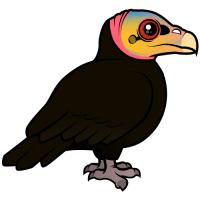 Greater Yellow-headed Vulture