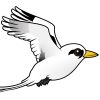 White-tailed Tropicbird