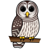 Barred Owl