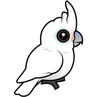 Tanimbar Corella