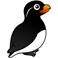 Parakeet Auklet