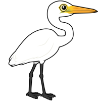 Great Egret