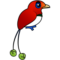 King Bird-of-paradise