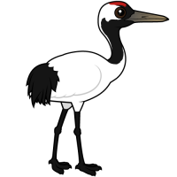 Red-crowned Crane