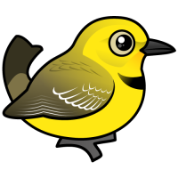 Yellow Chat