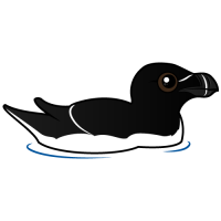 Razorbill