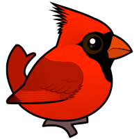 Northern Cardinal