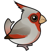Pyrrhuloxia