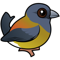 Patagonian Sierra-Finch