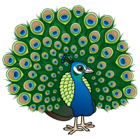 Indian Peafowl
