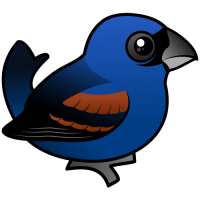 Blue Grosbeak