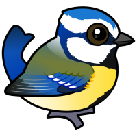 Eurasian Blue Tit