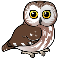 Northern Saw-whet Owl