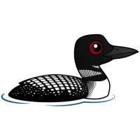 Common Loon