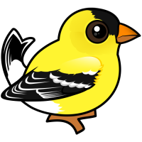 American Goldfinch