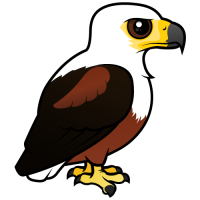 African Fish-Eagle
