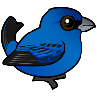 Indigo Bunting