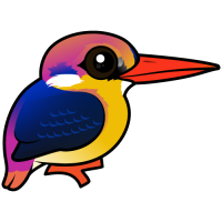 Black-backed Dwarf-Kingfisher