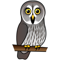 Great Grey Owl