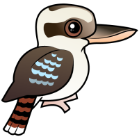 Laughing Kookaburra