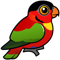 Yellow-bibbed Lory