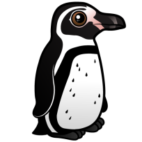 Humboldt Penguin