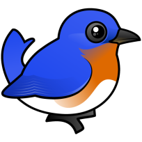 Eastern Bluebird