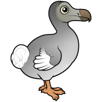 Dodo