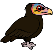 Lesser Yellow-headed Vulture