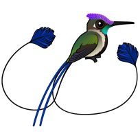 Marvelous Spatuletail