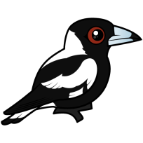 Australian Magpie