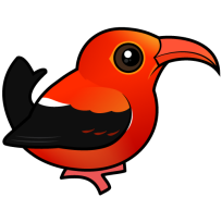 'I'iwi