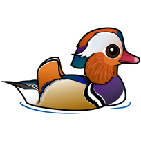 Mandarin Duck