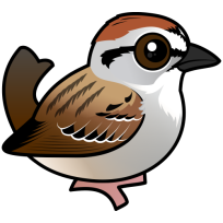 Chipping Sparrow