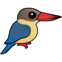 Stork-billed Kingfisher