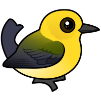 Prothonotary Warbler