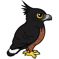 Black-and-chestnut Eagle