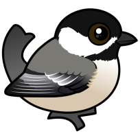 Black-capped Chickadee