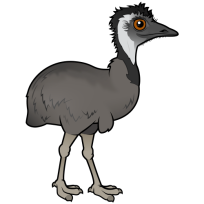 Emu